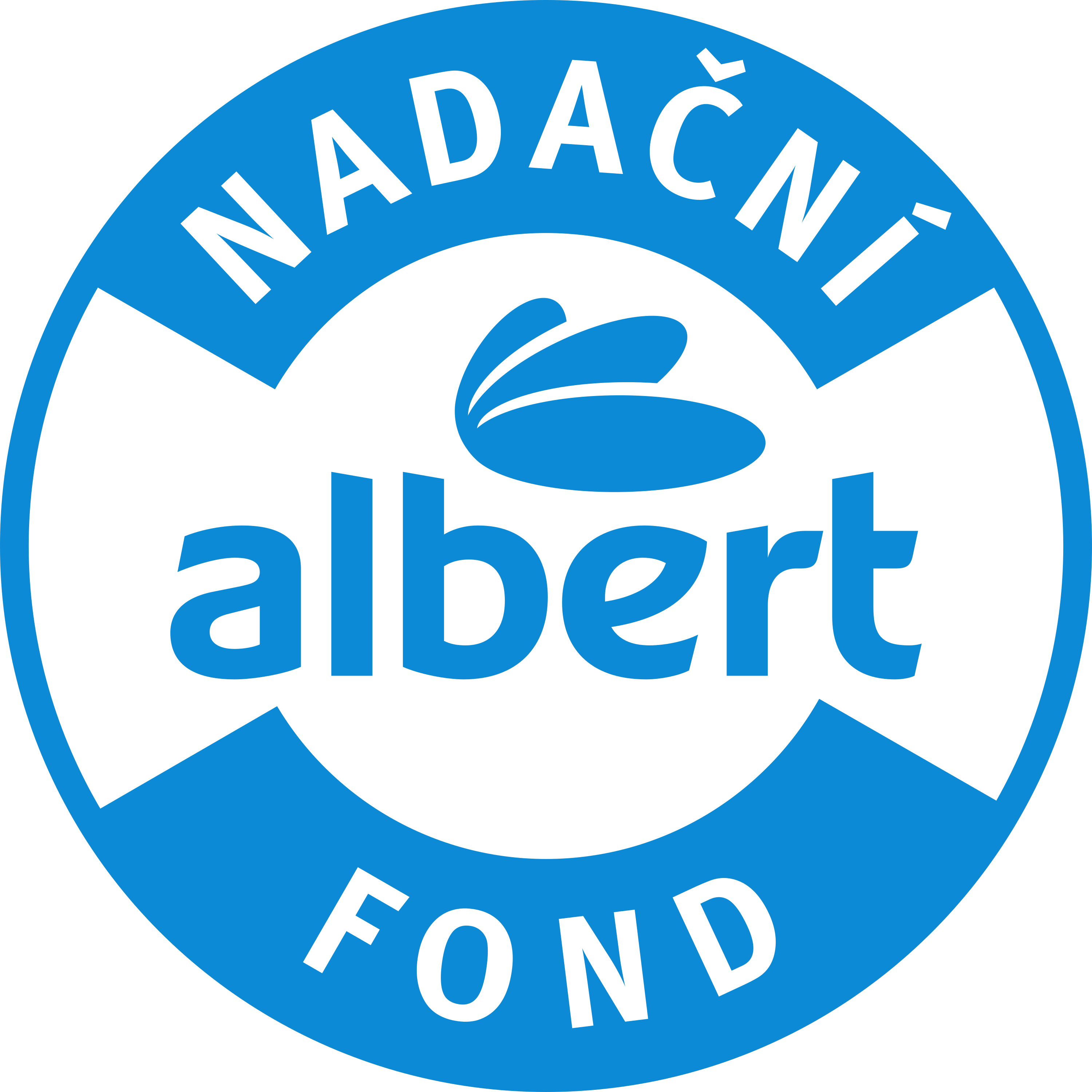 Nadační fond Albert